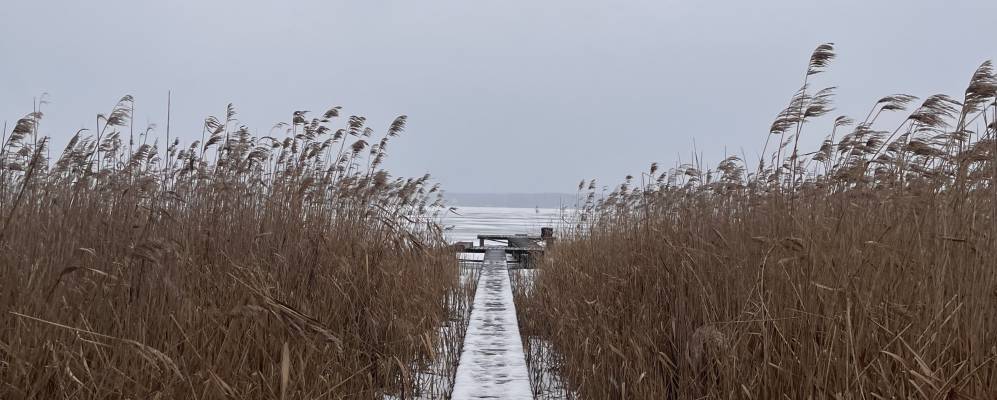 Фотография деревни Листопадовичи