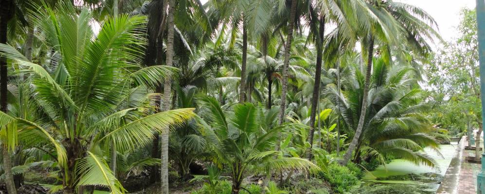 
            Фотография Бан Фаео