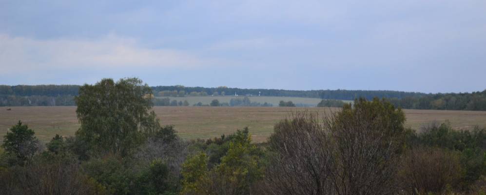 
            Фотография Стрелковки