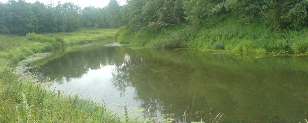 
            Фотография Казариново