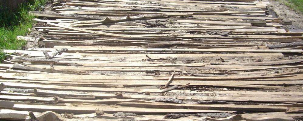 
            Фотография Корытни