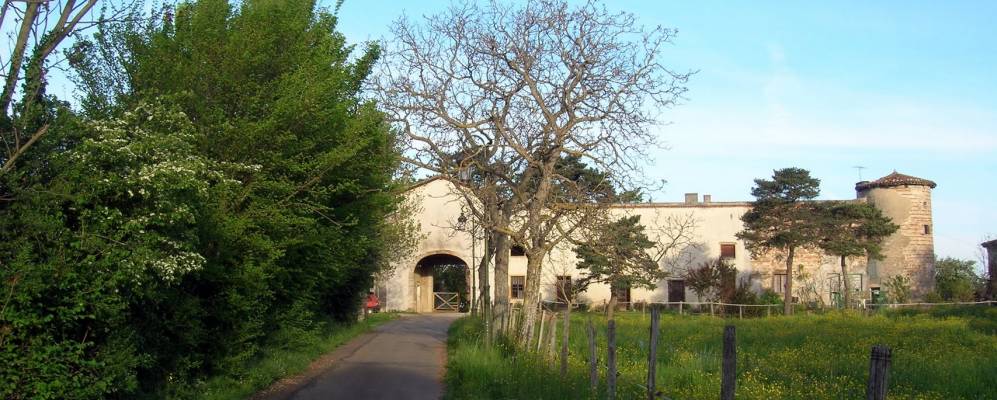 
            Фотография Мьона