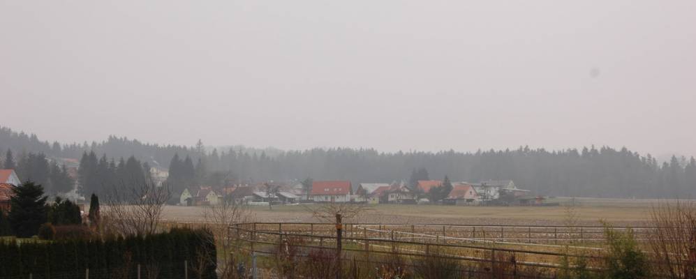 
            Фотография Приха