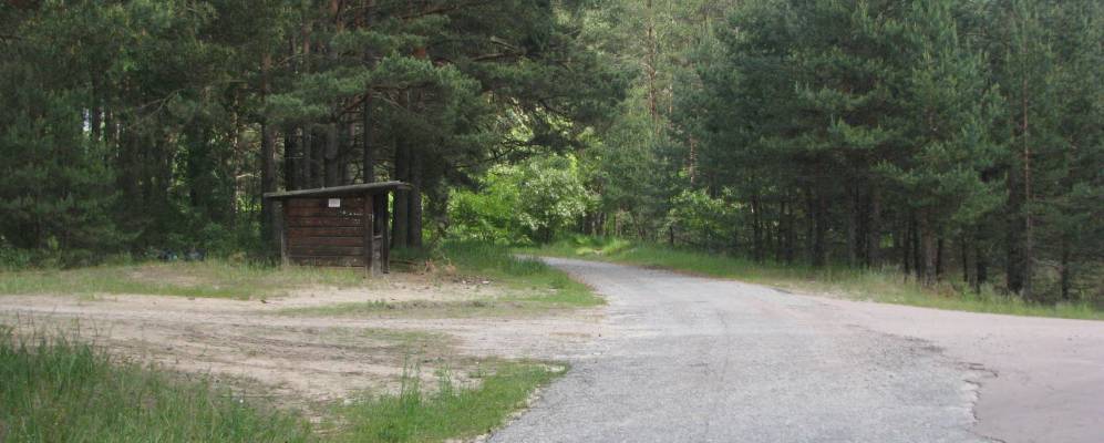 
            Фотография Лесного