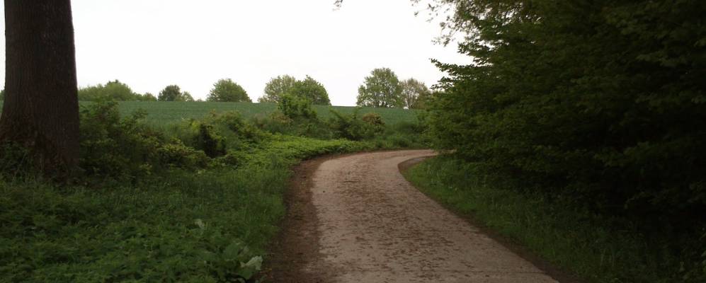 
            Фотография Зета