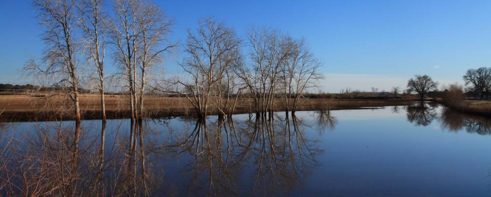 
            Фотография Оак Трейл Шорза