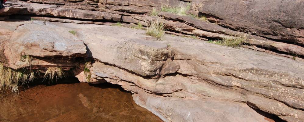 Фотография Готор