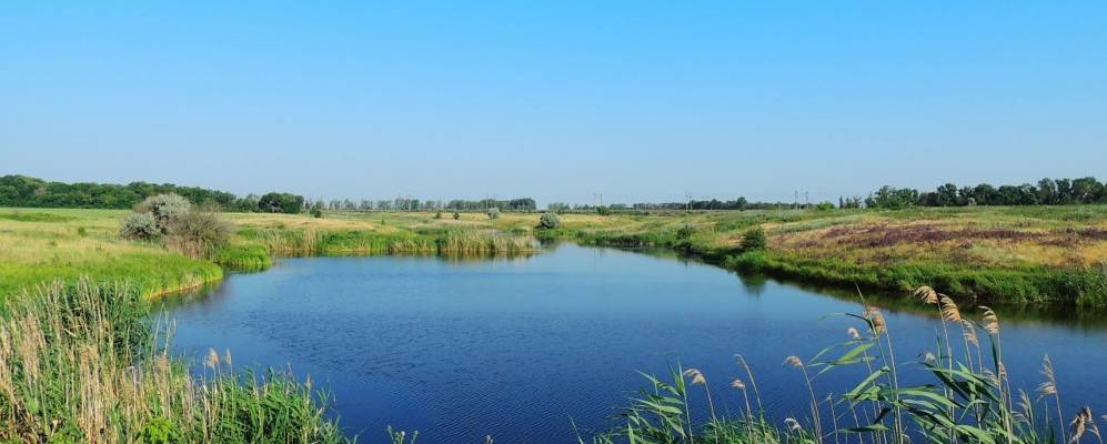 
            Фотография Нового Пути