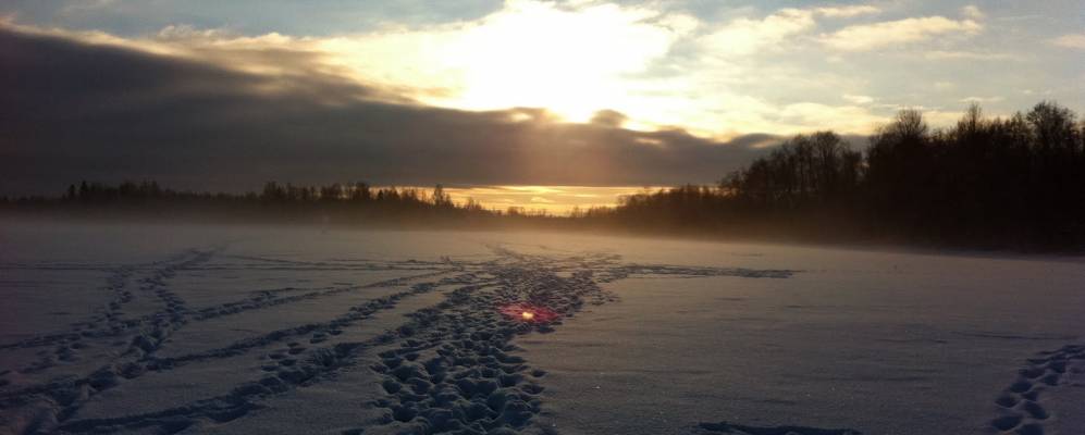 Фотография Ватолино