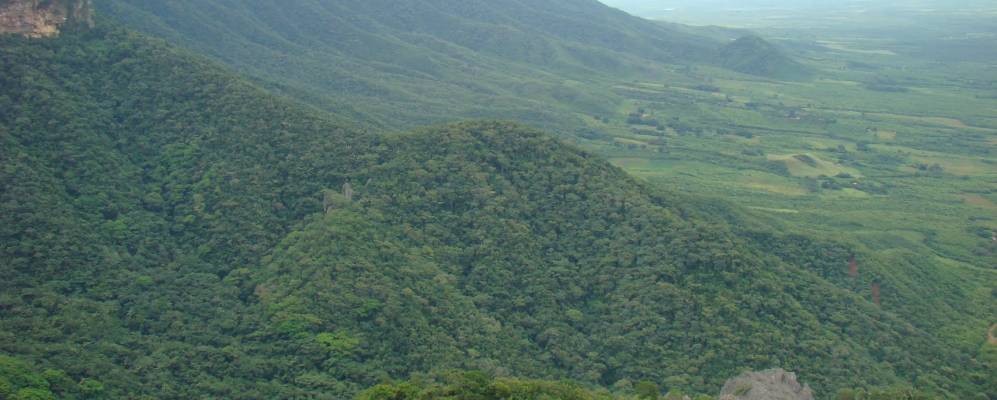 
            Фотография Убажары