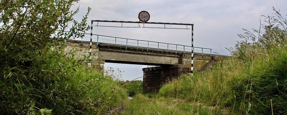 
            Фотография Тычинино