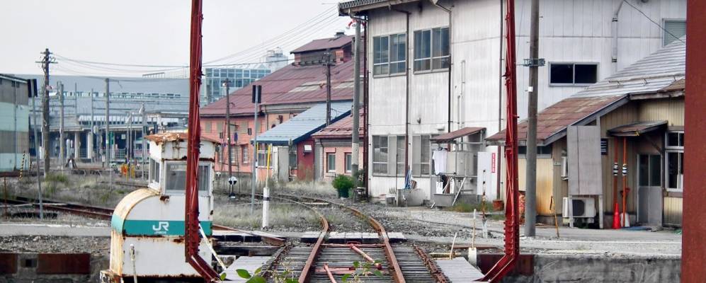 
            Фотография Синдз