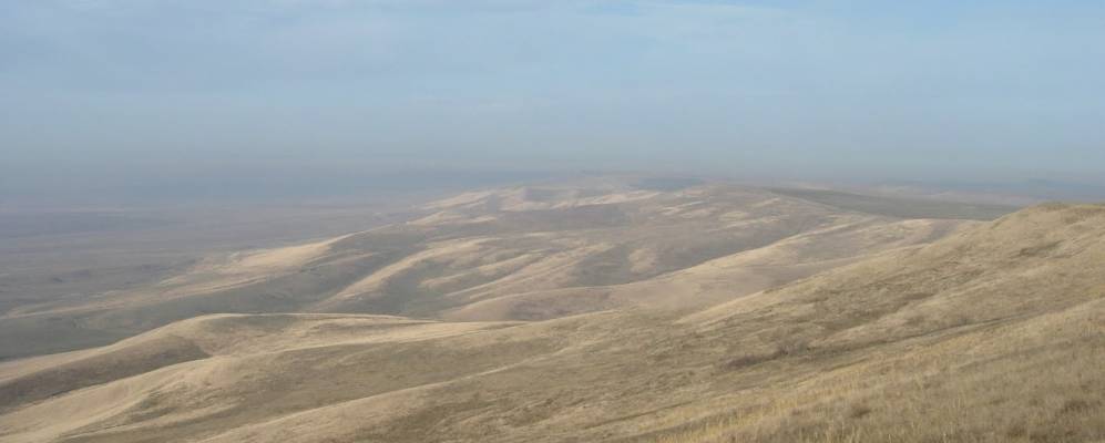 
            Фотография Овражного