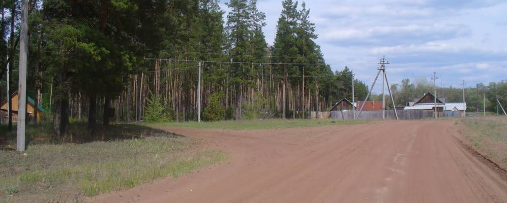 
            Фотография Скипидарного