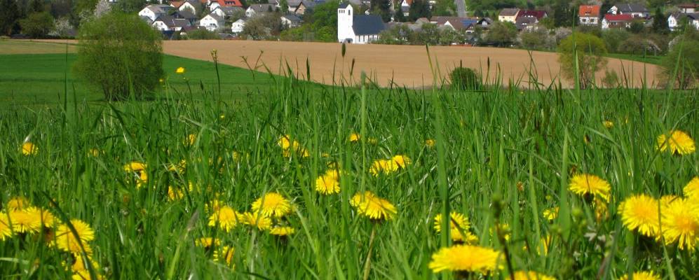 
            Фотография Шоффенгрунна