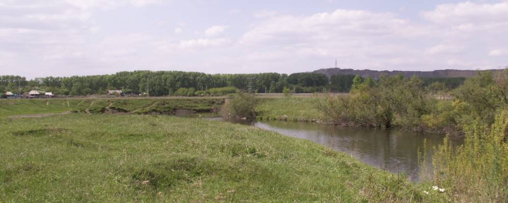 
            Фотография Шанды