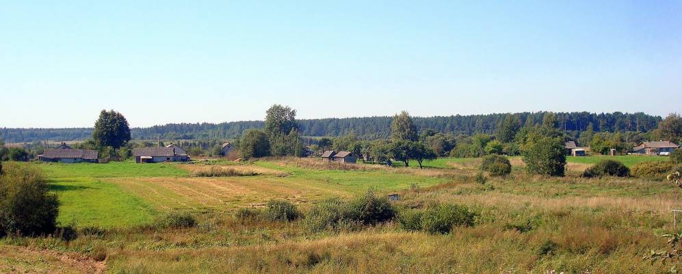 Фотография Начи