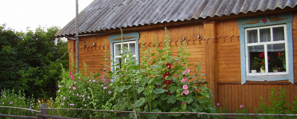 
            Фотография села Раздоры