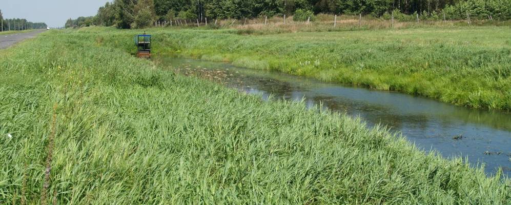 Фотография Доброго