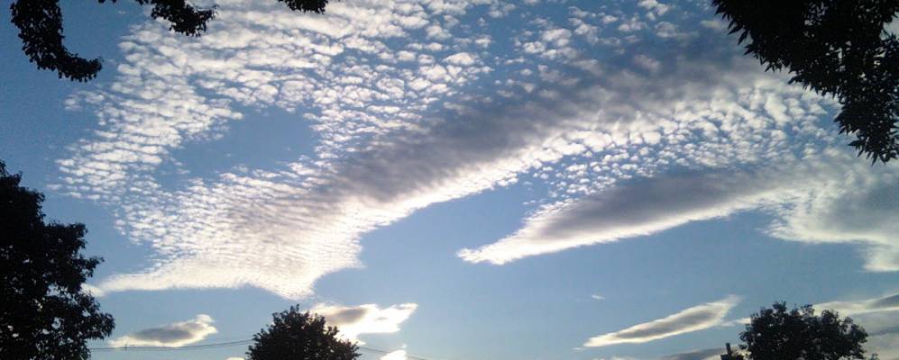 
            Фотография Брансуика