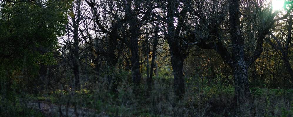 
            Фотография Юбилейного