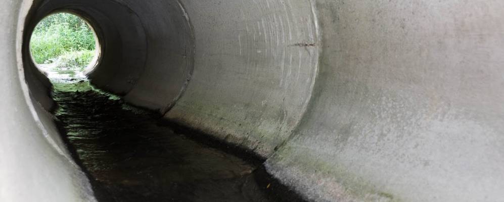 
            Фотография Телицыно