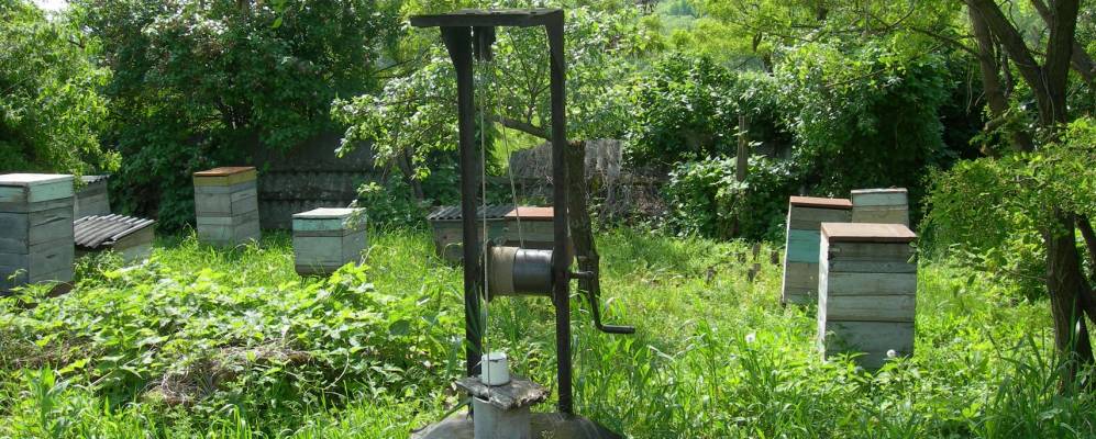 Фотография Лесного Уколово