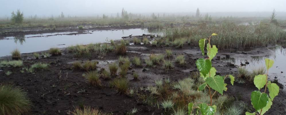 Фотография Зыково