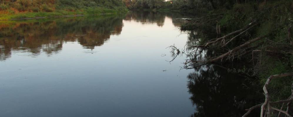 Фотография Гронова