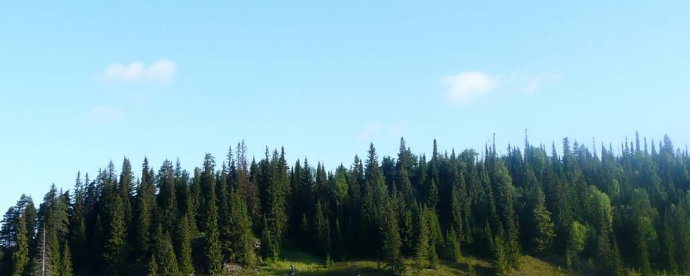 
            Фотография Мясниково