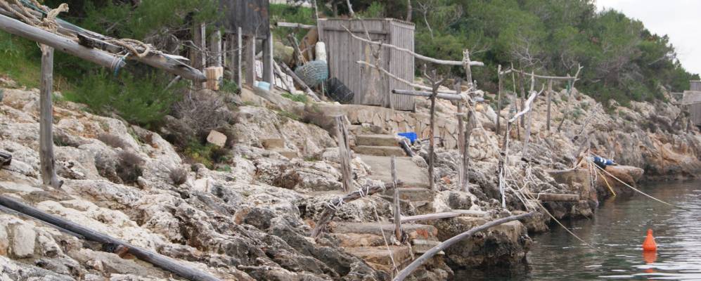 
            Фотография Пуртинач