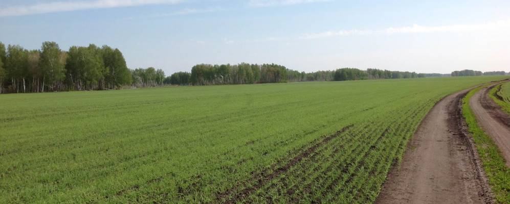 
            Фотография Москвинки