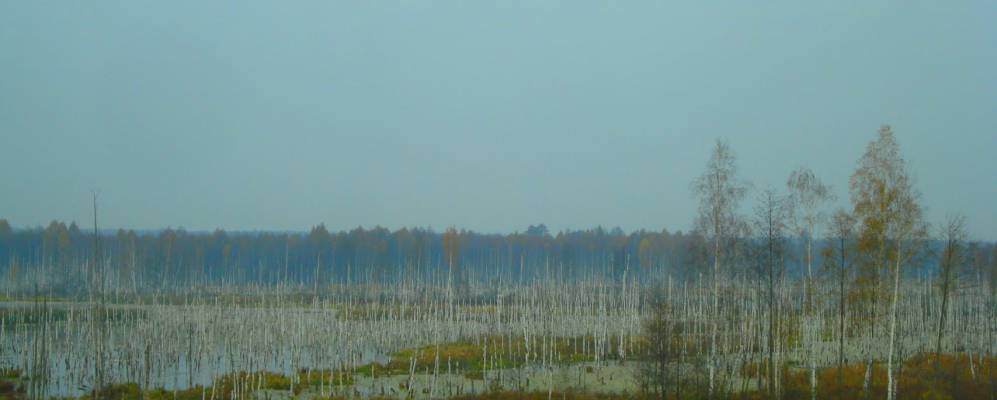 Фотография Бычи