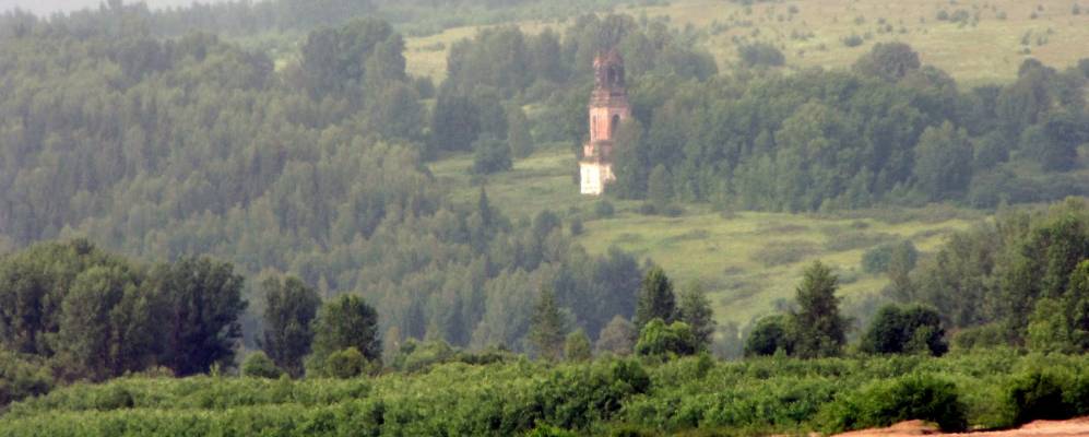 
            Фотография Трактовой Кукушки