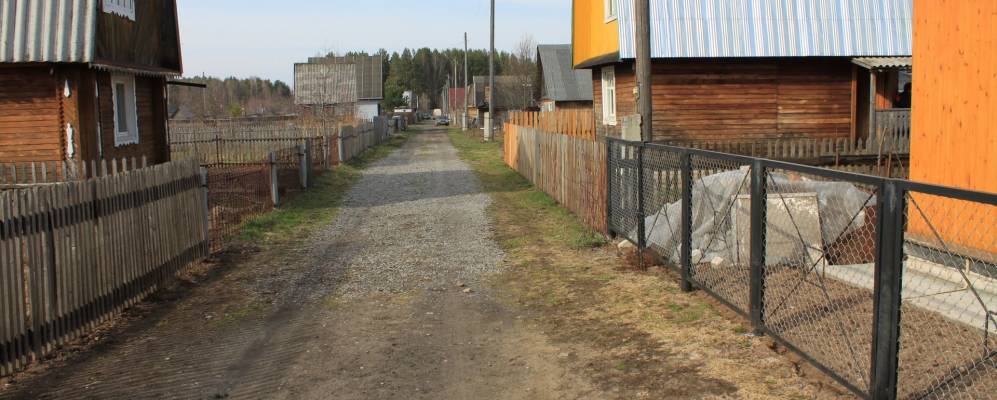 
            Фотография Пестовых