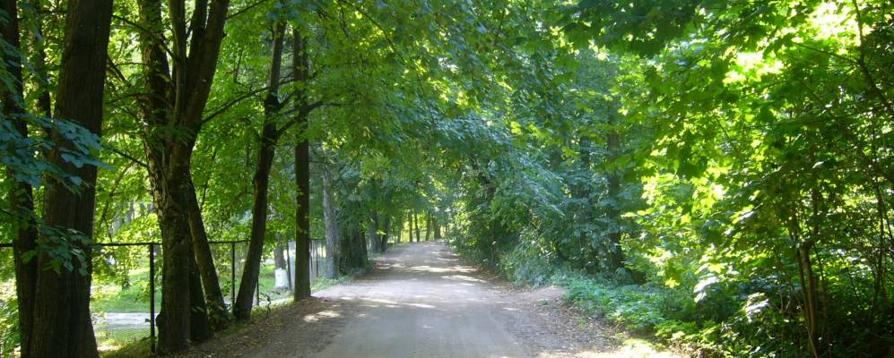 Фотография деревни Стукатичи