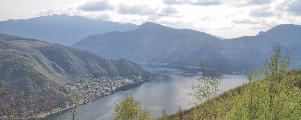 
            Фотография Кунардо