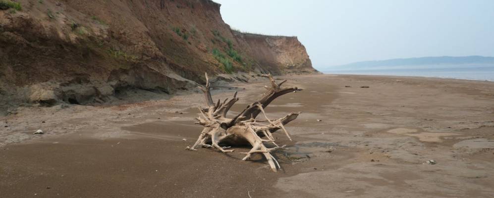 Фотография Тюльки