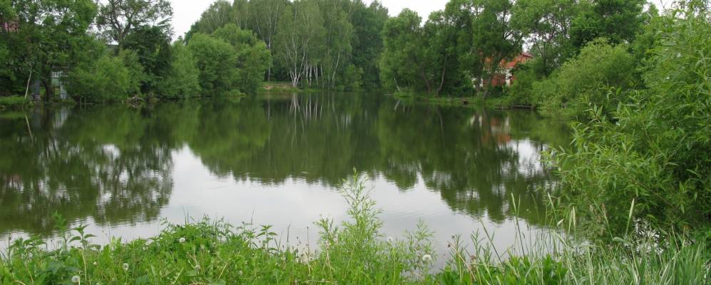 
            Фотография Шахово