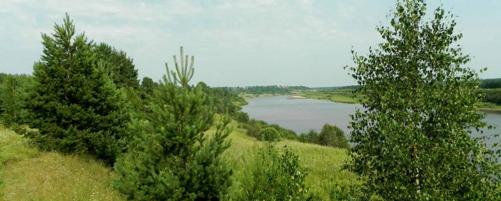 
            Фотография Опалихино