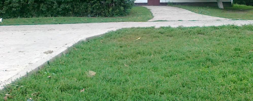 
            Фотография Квитки