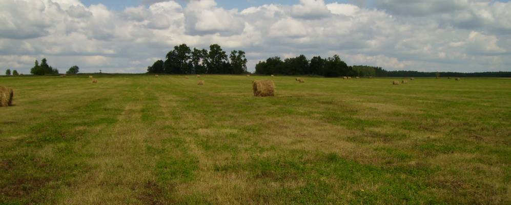 
            Фотография Ямново