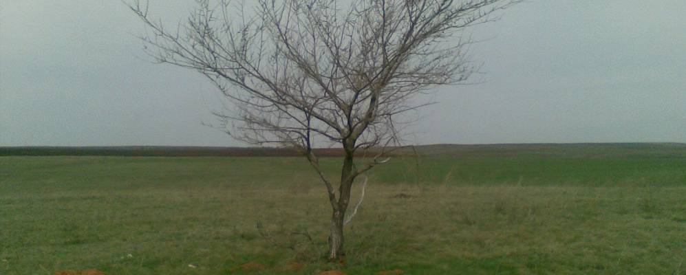 
            Фотография Мазуровки