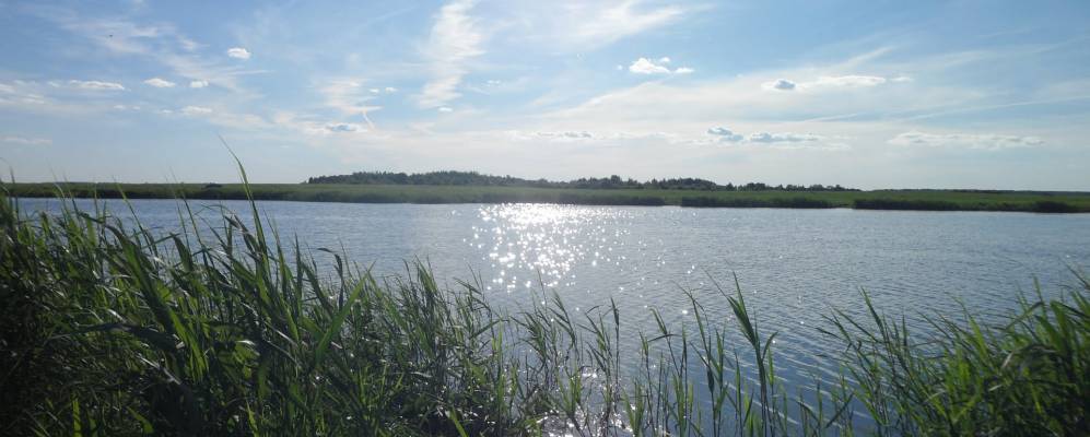 
            Фотография деревни Тилевичи