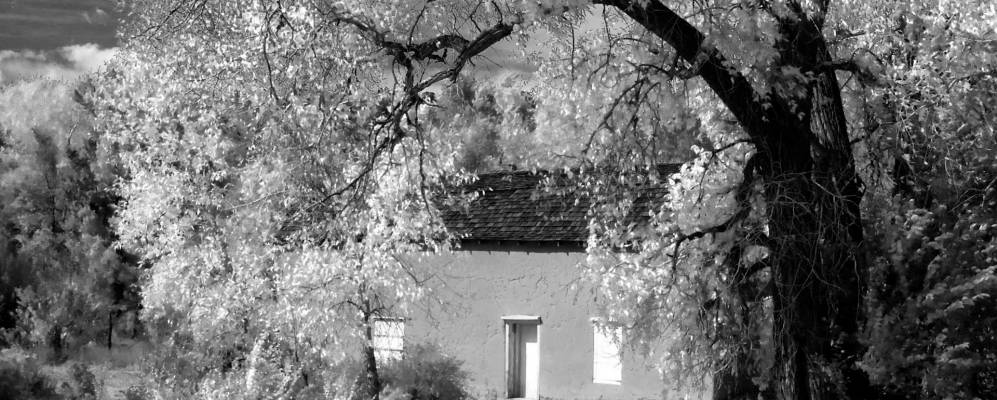 
            Фотография Куесты