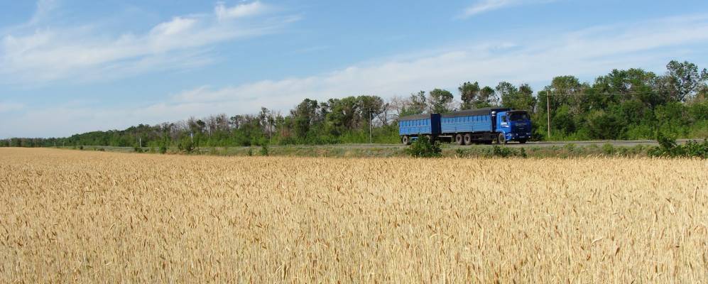 Фотография Чечеровского