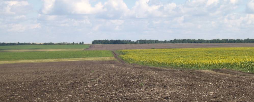 
            Фотография Любишенского