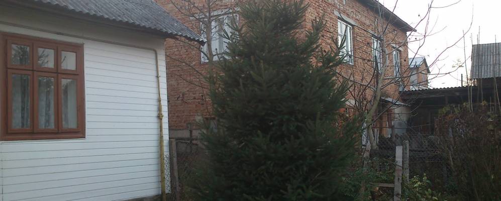 
            Фотография Репнева