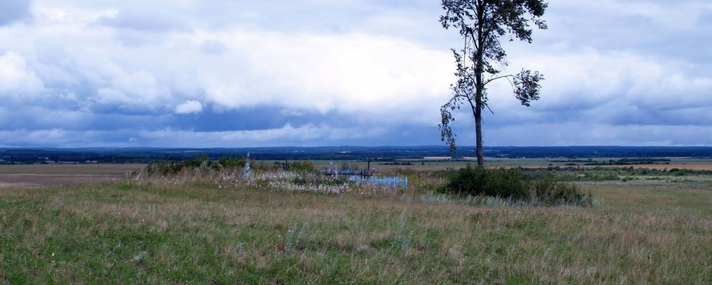 
            Фотография деревни Новодворцы