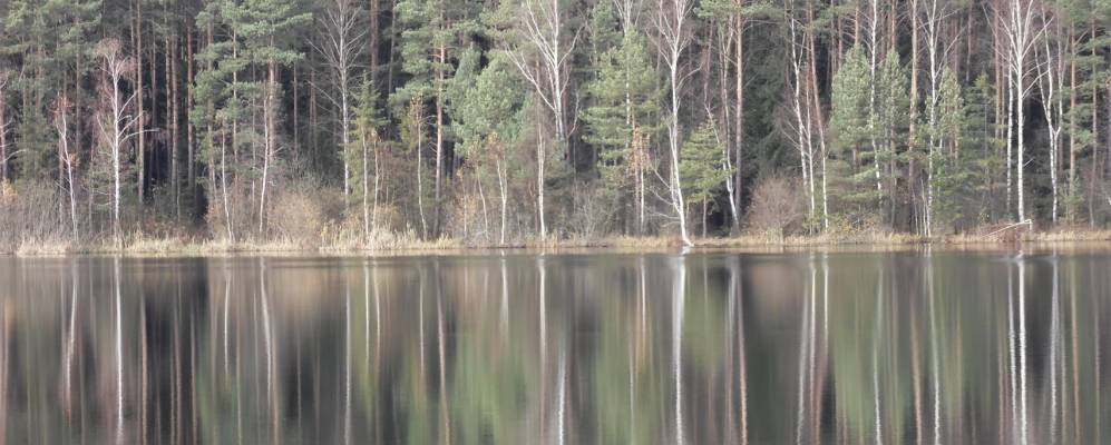 
            Фотография Подберезья